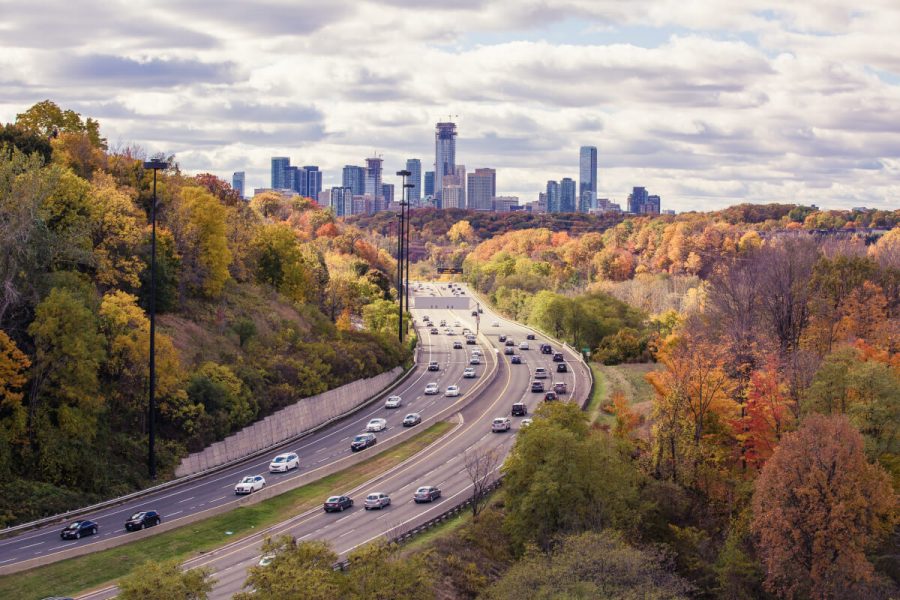 Tiptoe through the Tulips of Washington